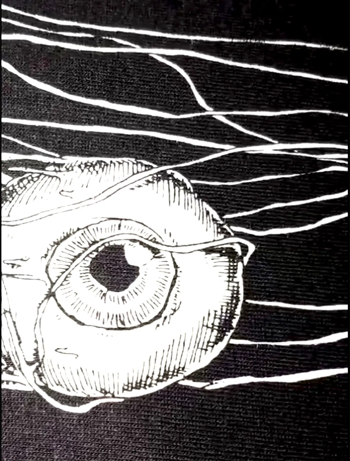 Трафаретний друк витравними фарбами